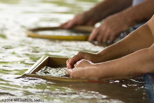 panning for diamonds
