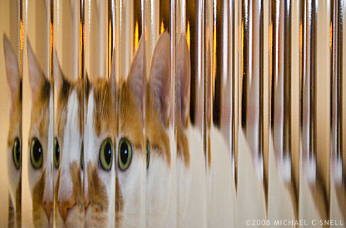 eclair through glass