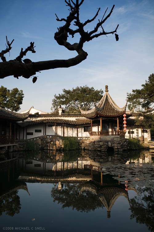 Master of Nets garden