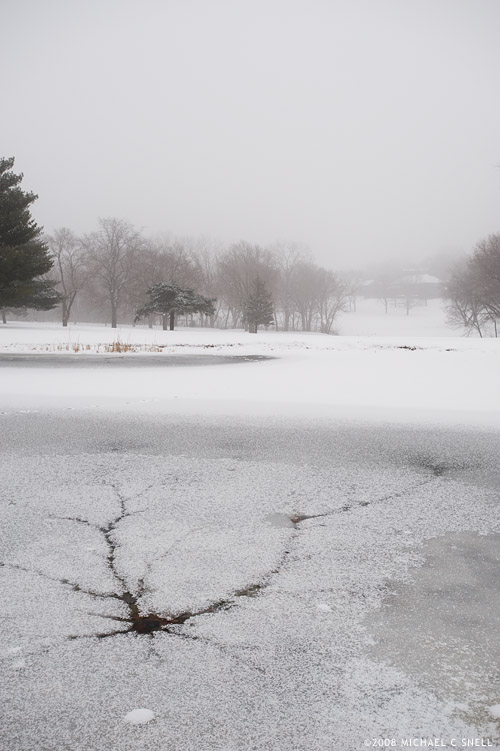 frozen pond