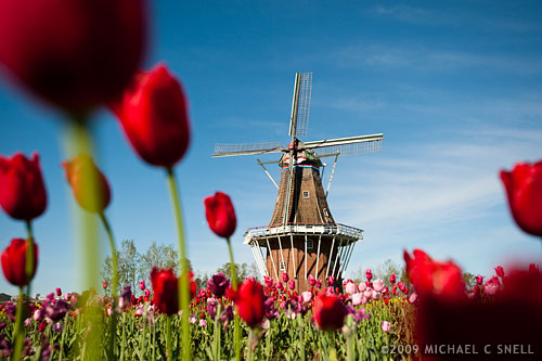 Windmill in Holland, Michigan