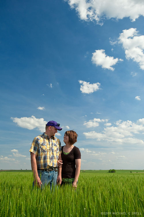 wheat field
