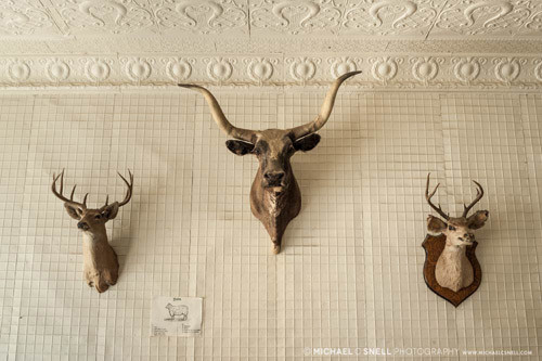 150618cowtown02_sotc_b